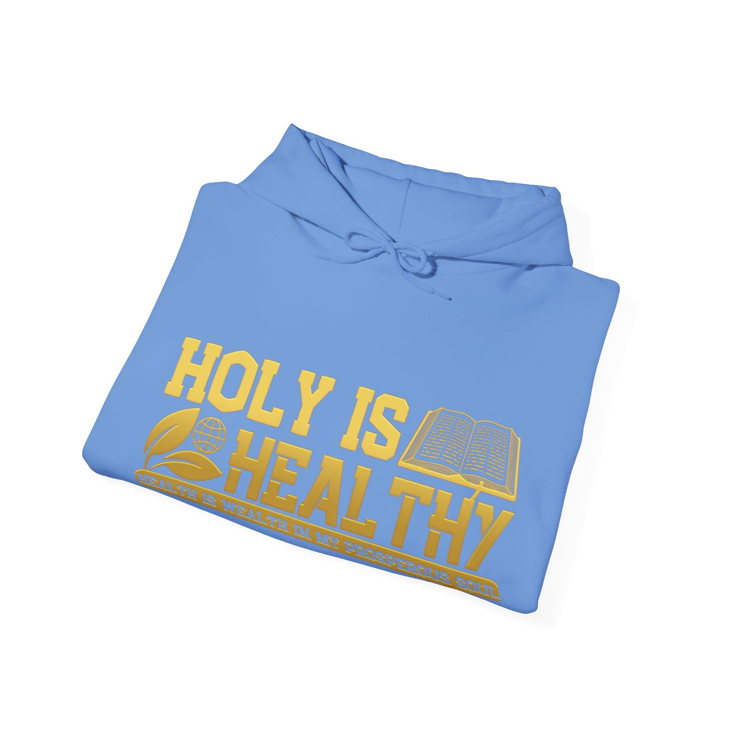 Holy Is Healthy Blue+ Hoodie