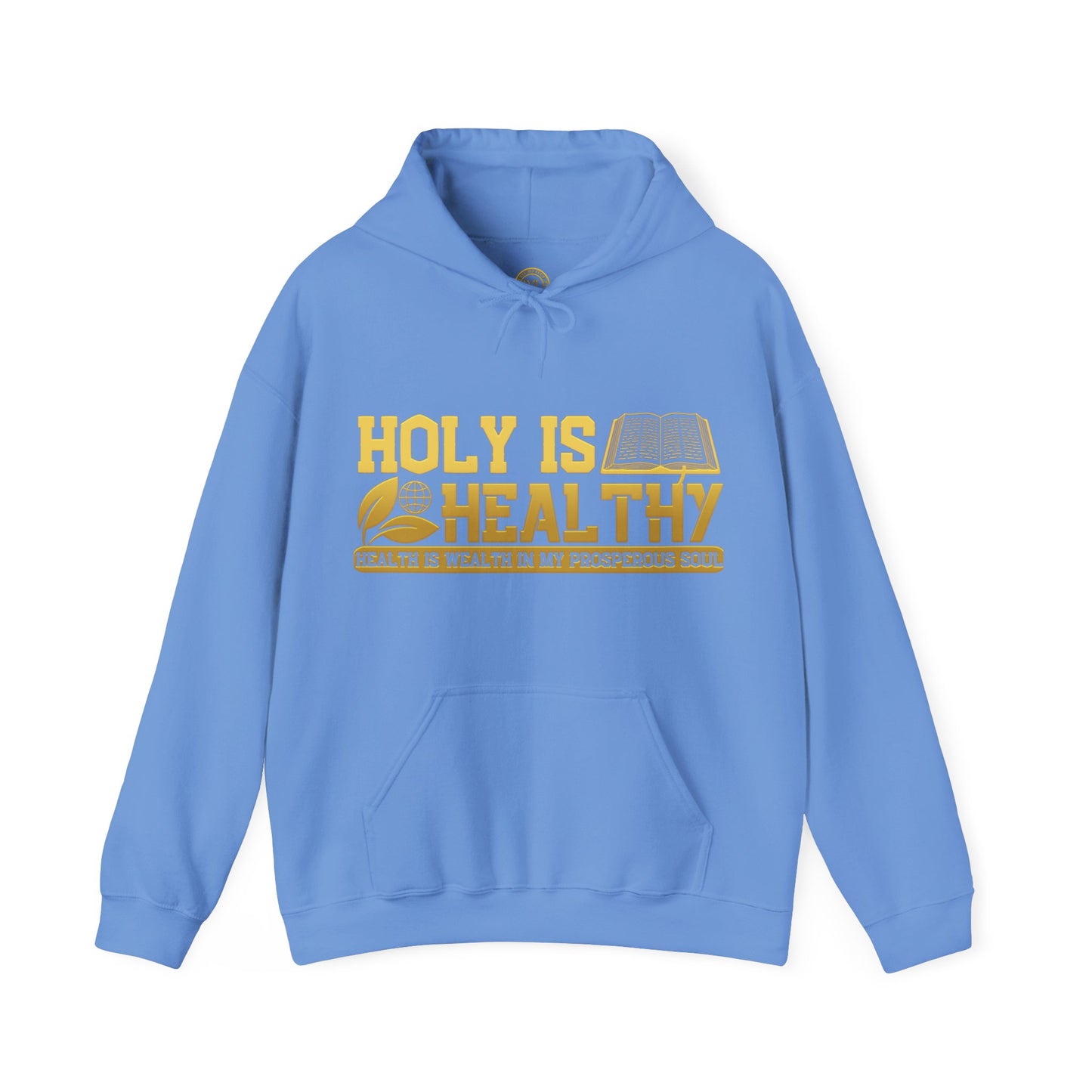 Holy Is Healthy Blue+ Hoodie